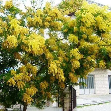 Apartamento Sunara